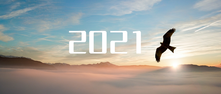 乘“峰”而上，智“盈”未来 ——2021年尊龙凯时环境高级资深副总裁新年开工动员